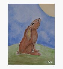 Moon gazer Photographic Print