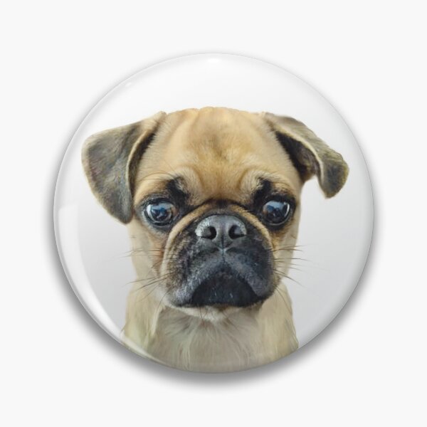 Item preview, pug dog designed and sold by 1001karte.