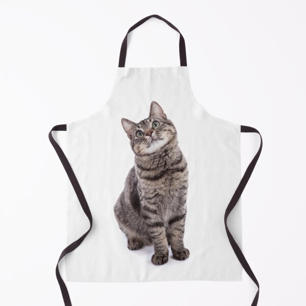 Item preview, Tabby Cat designed and sold by Leslie Banks.