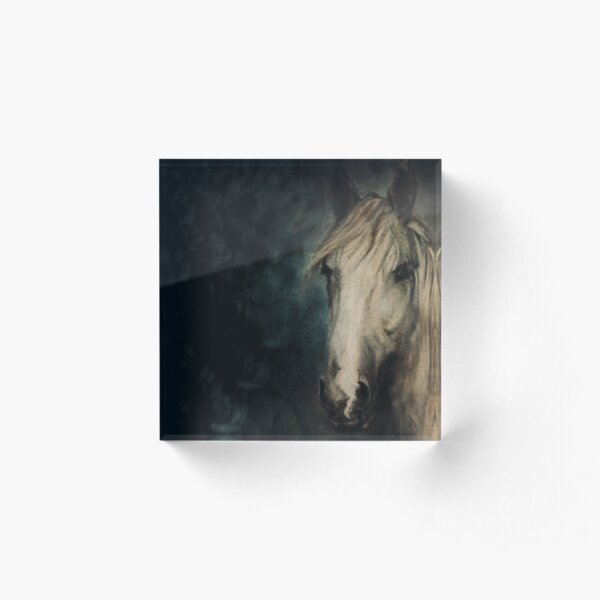 White Horse Painting Mystical Vintage Acrylic Block