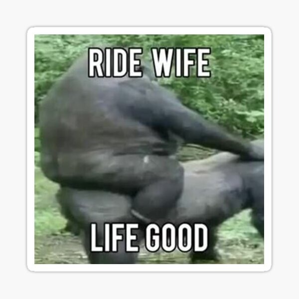 Ride Wife Life Good Sticker For Sale By CringyLunberg Redbubble