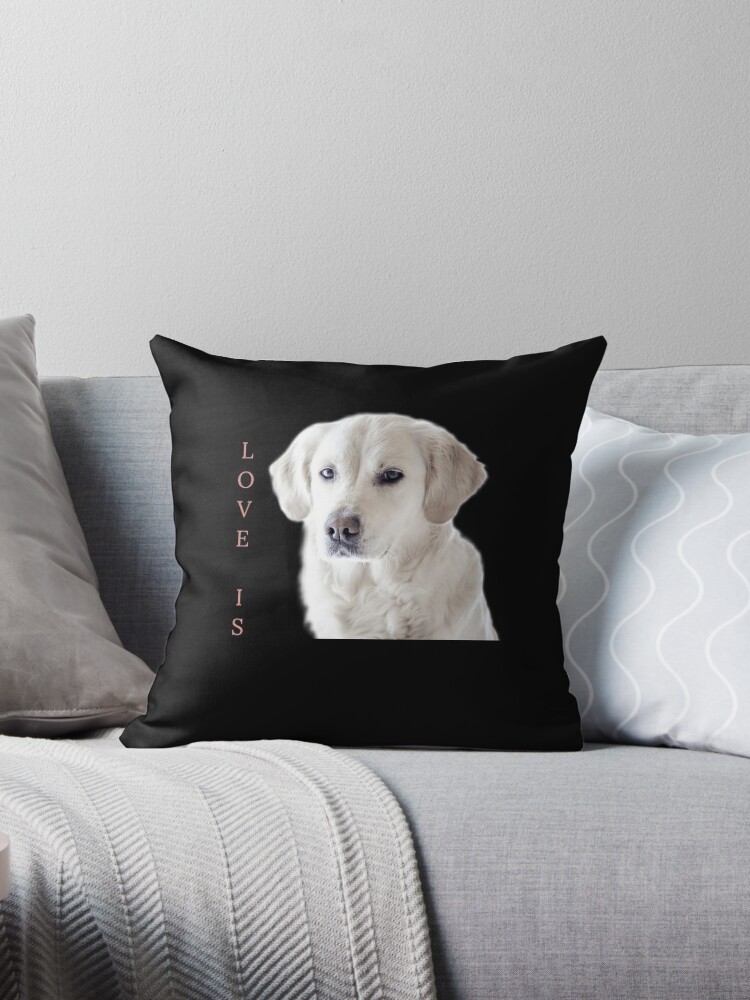 Black Lab Pillow, Dog Cushion, Labrador Retriever, Black Lab Gifts, Dog  Lover Gifts, Dog Throw Pillow 