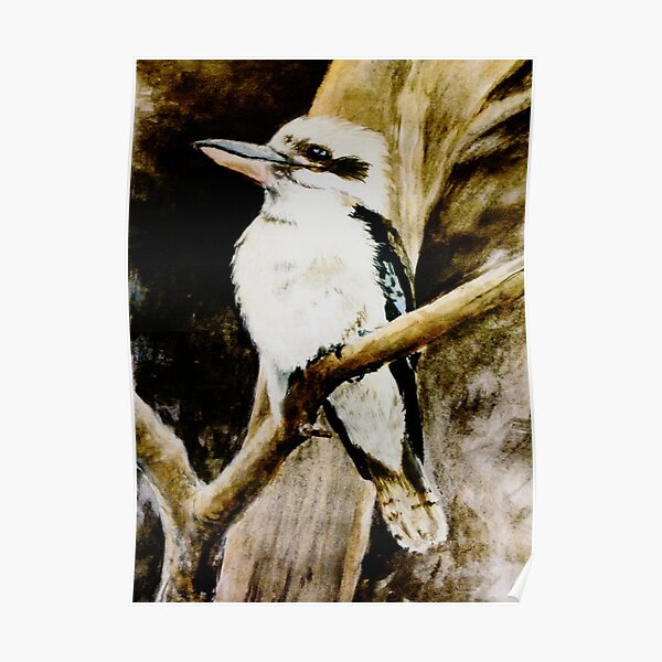 Kookaburra Sits in the Old Gum Tree Poster
