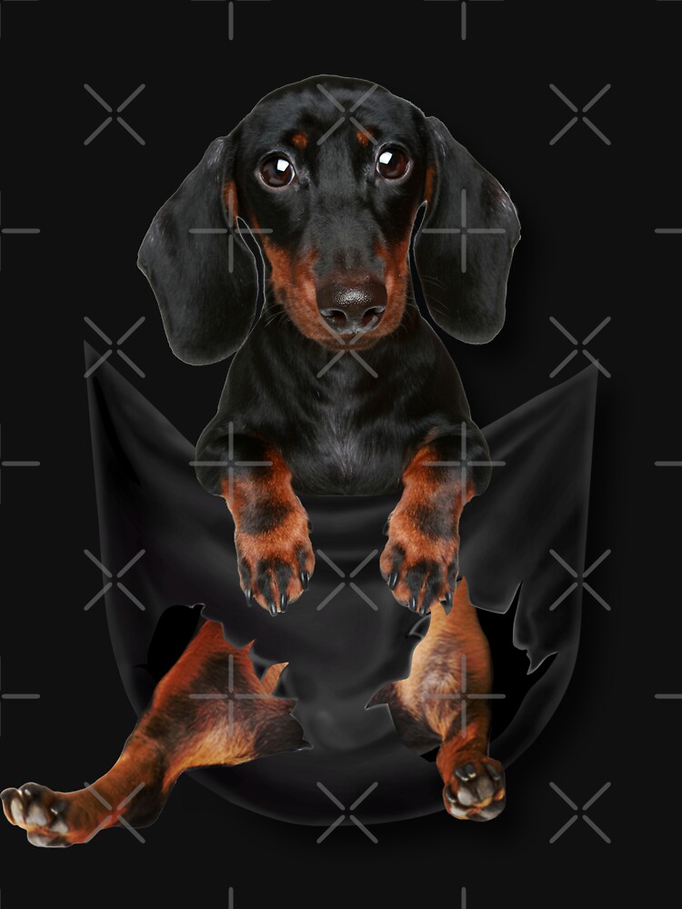 dachshund pocket tee