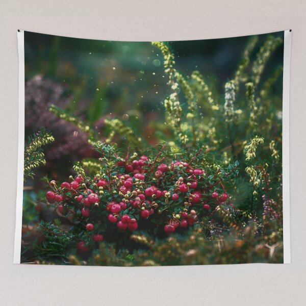 Item preview, Illustrated red and green berry  designed and sold by Fiona Shorts.
