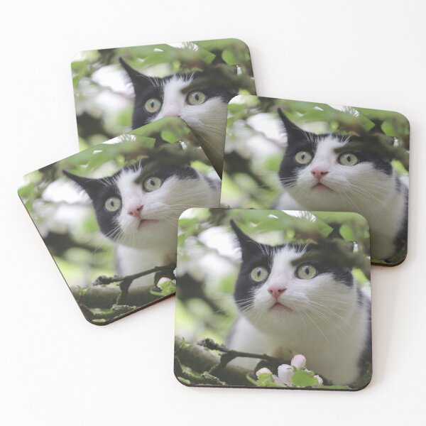 Item preview, Oops, I'm lost! designed and sold by cuprum.