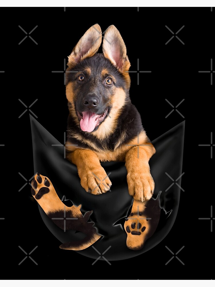 German shepherd in pocket sales t shirt