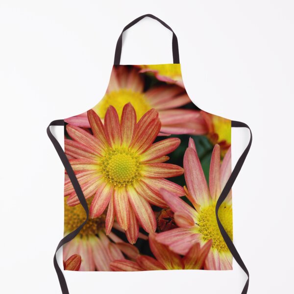 Item preview, Red and yellowish sun flowers designed and sold by Fiona Shorts.