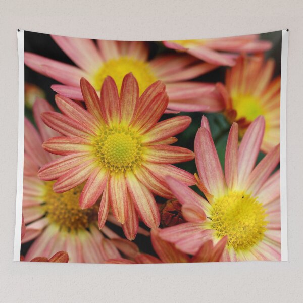 Item preview, Red and yellowish sun flowers designed and sold by Fiona Shorts.