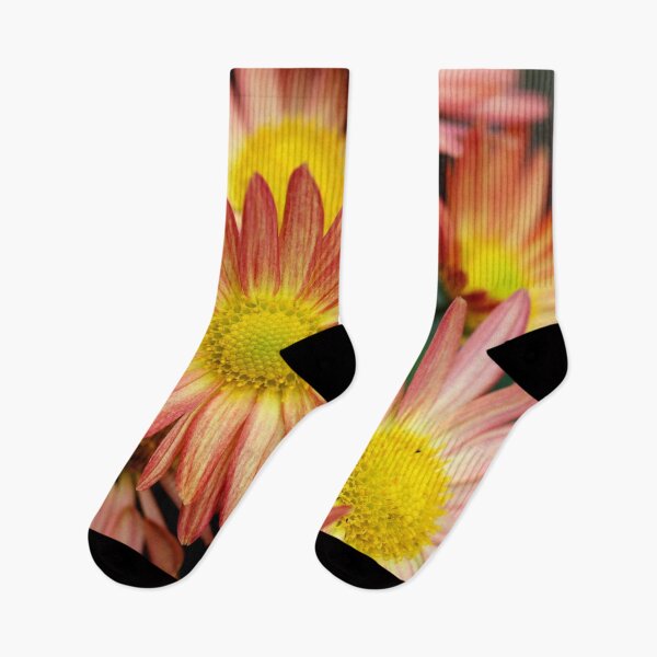 Item preview, Red and yellowish sun flowers designed and sold by Fiona Shorts.