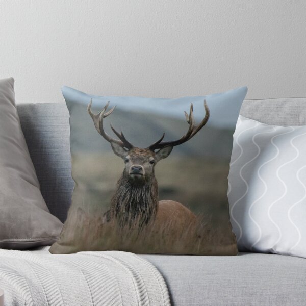 Item preview, red deer stag designed and sold by tammy mellor.