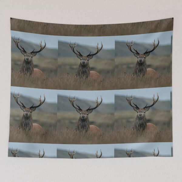Item preview, red deer stag designed and sold by tammy mellor.
