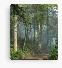 Cowell trail in the fog Canvas Print