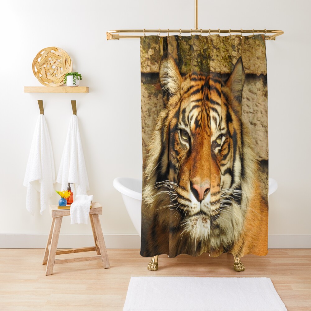 "Majestic Bengal Tiger" Shower Curtain by Lcrawfordphotos Redbubble