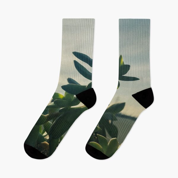 Item preview, Flower in front of the sky designed and sold by Zetsmo.