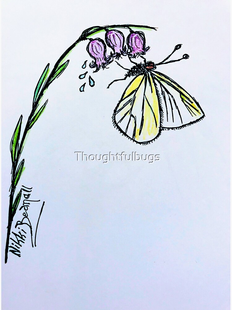 Butterfly Bluebell by Thoughtfulbugs