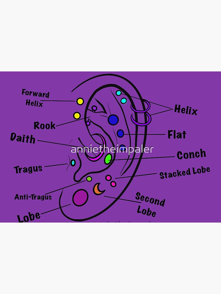 13+ Labeling The Ear Diagram
