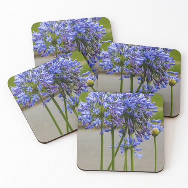 Item preview, Agapanthus Growing in My Garden designed and sold by Michael Cherne.