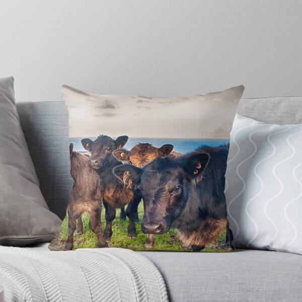 Item preview, Vacas designed and sold by Scott Brown.