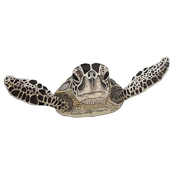 Artwork thumbnail, sea turtle by Saltypro