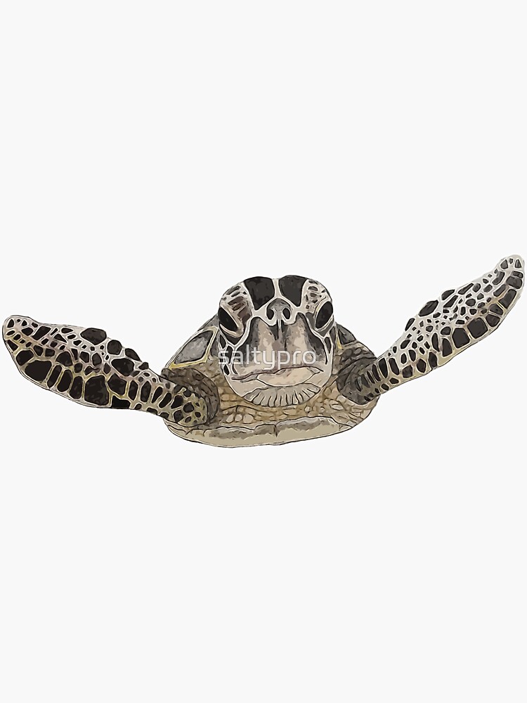 Thumbnail 3 of 3, Sticker, sea turtle designed and sold by saltypro.