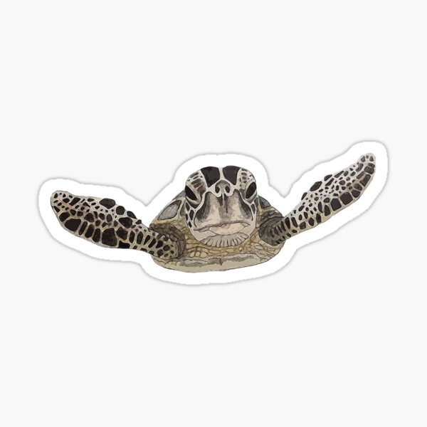 sea turtle Sticker