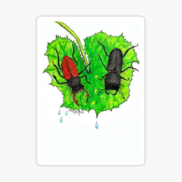 Stag Beetles Sticker