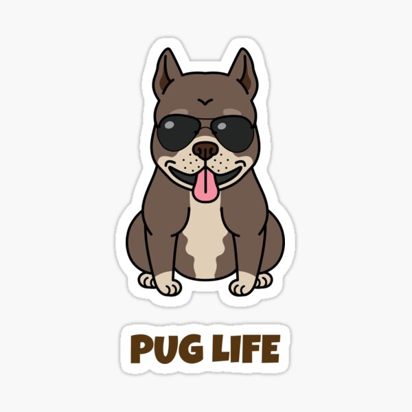 Vista previa del artículo con la obra «Cool Pug», diseñado y vendido por GRACEHAWI.