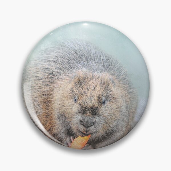 Item preview, Beaver designed and sold by Elisabeth Lucas.