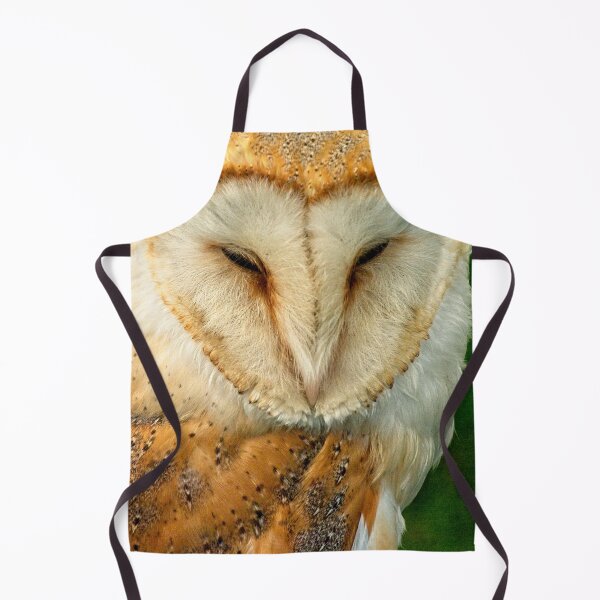 Item preview, Barn Owl designed and sold by Martyn R Arnold Fine Art Nature & Landscape Photography.