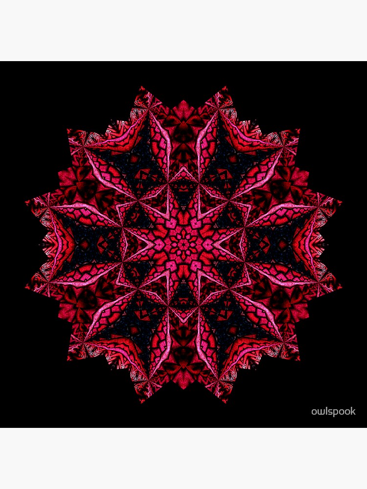 Listen To My Heart by owlspook