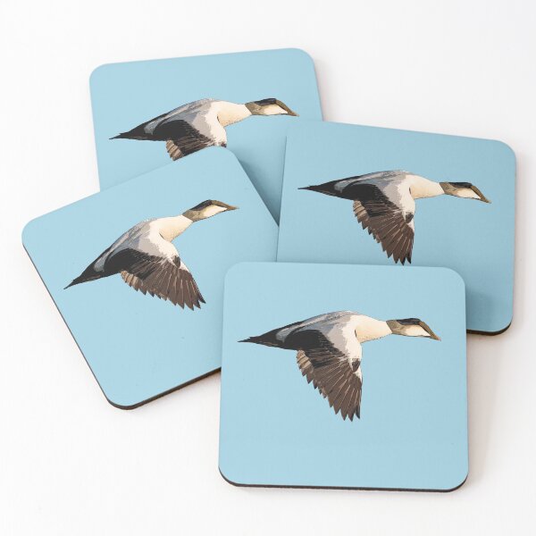Item preview, Common Eider Color Print designed and sold by designsasstultd.