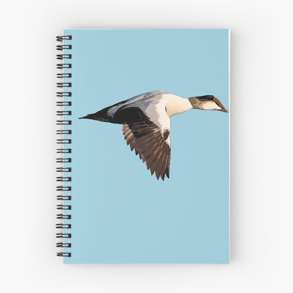 Item preview, Common Eider Color Print designed and sold by designsasstultd.