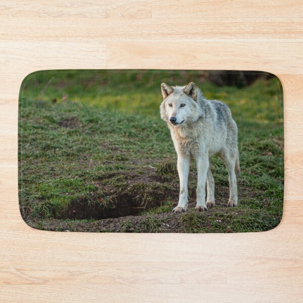 Item preview, European Grey Wolf designed and sold by Dalyndigital Photography.