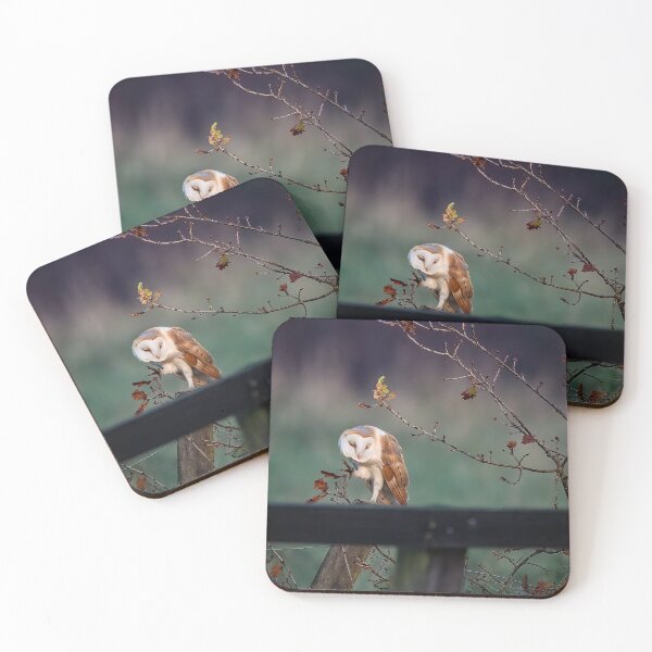 Item preview, Barn Owl scratching an itch! designed and sold by PhotographMassa.