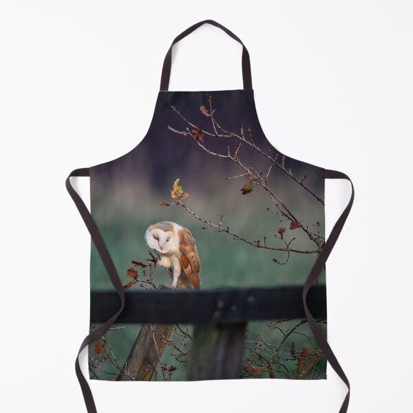 Item preview, Barn Owl scratching an itch! designed and sold by PhotographMassa.