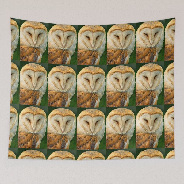 Item preview, Barn Owl designed and sold by Martyn R Arnold Fine Art Nature & Landscape Photography.