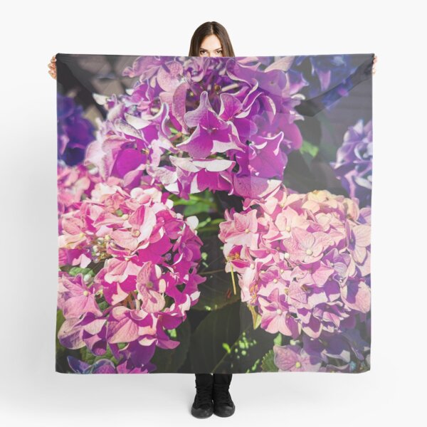 Phlox - a shining sea of flowers Scarf