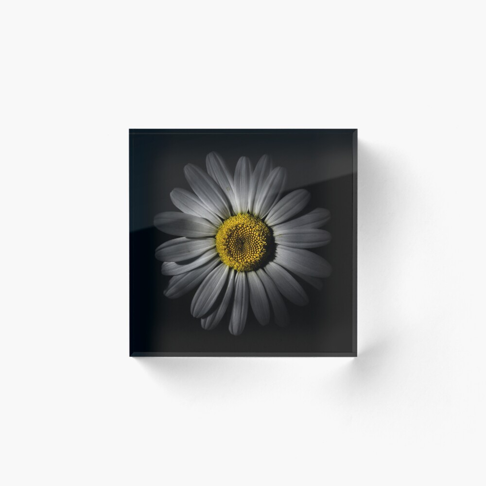 Item preview, Acrylic Block designed and sold by learningcurveca.