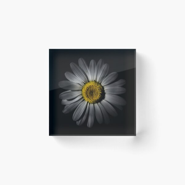 Item preview, Backyard Flowers 52 Color Version designed and sold by The Learning Curve Photography.