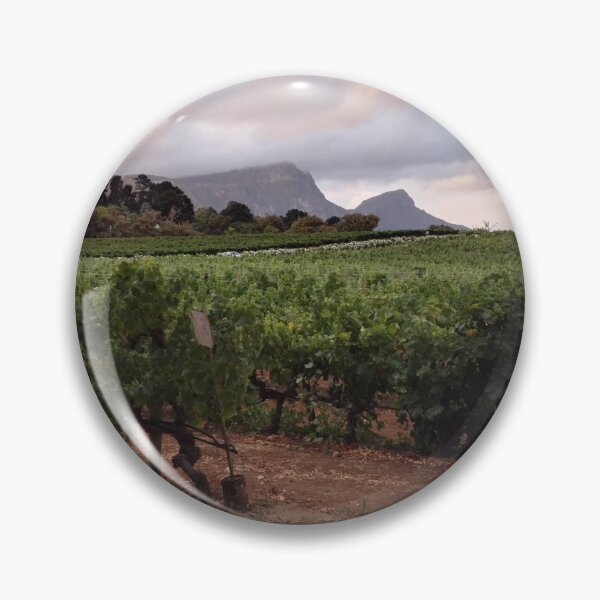 Item preview, Vineyard sunset in Western Cape South Africa designed and sold by wineandwords.