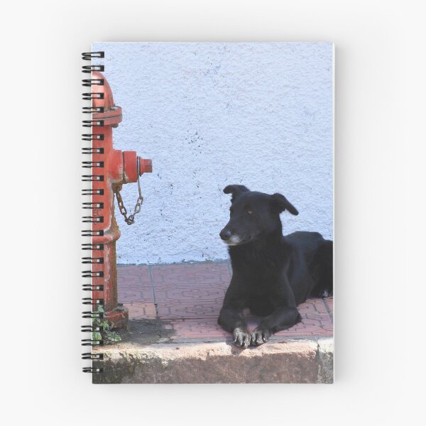 Item preview, Dog and Fire Hydrant designed and sold by rhamm.