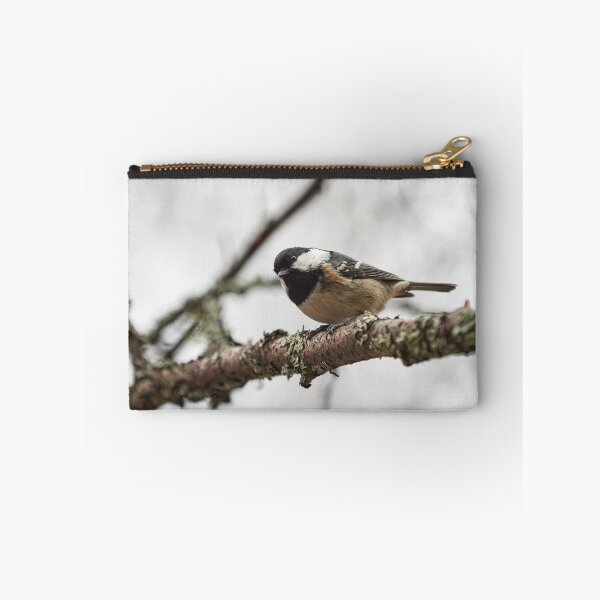 Item preview, The Curious Coal tit designed and sold by Jouko Lehto Photography.