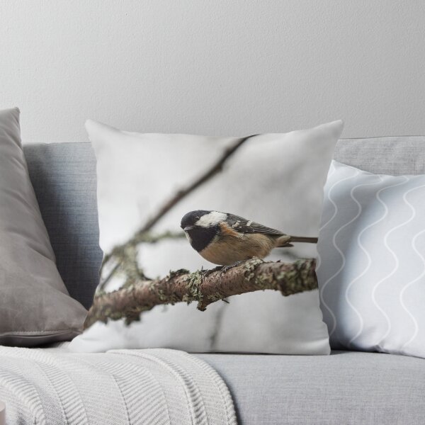 Item preview, The Curious Coal tit designed and sold by Jouko Lehto Photography.
