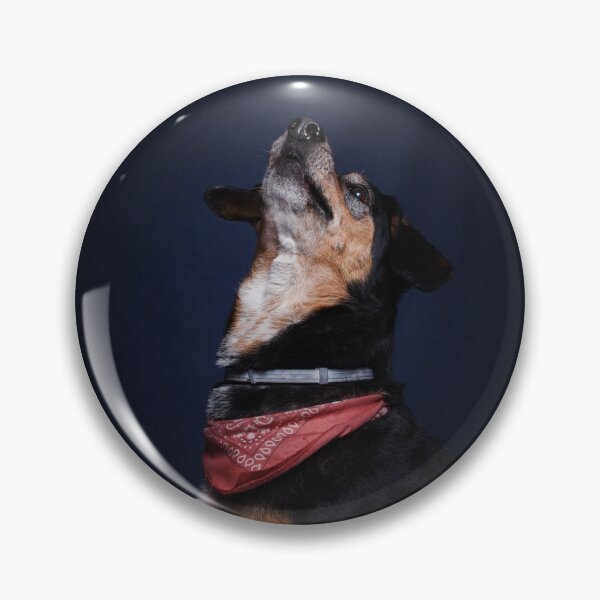 Item preview, Dog catches kibble studio designed and sold by LN-Dalbin.