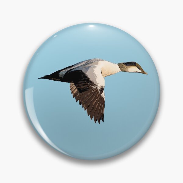 Item preview, Common Eider Color Print designed and sold by designsasstultd.
