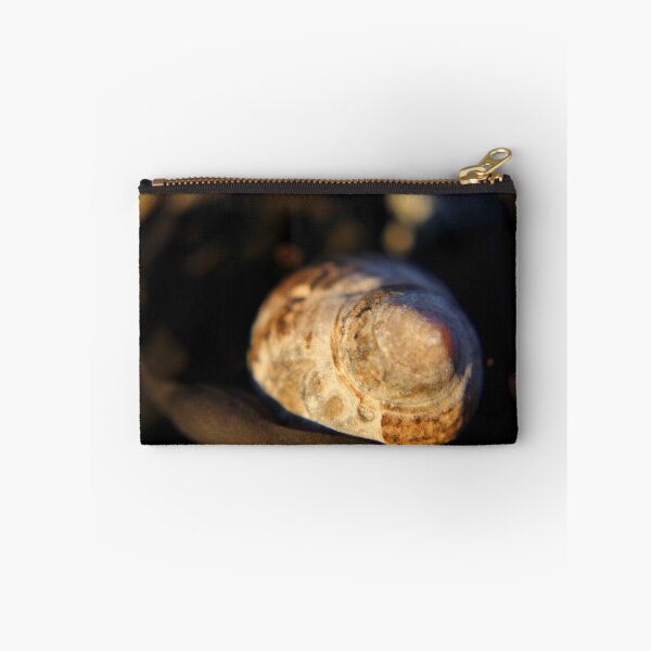 Item preview, Sun on a Whelk designed and sold by Kathleen Daley.
