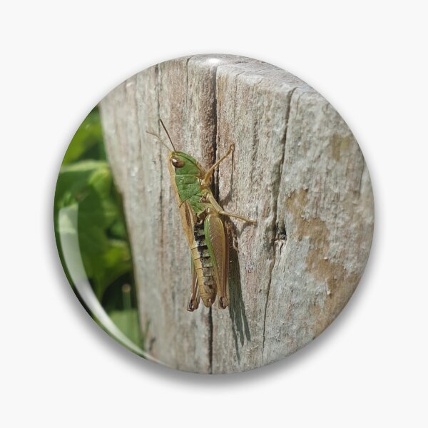 Item preview, Green Grasshopper on Wooden Log designed and sold by Brimwood.