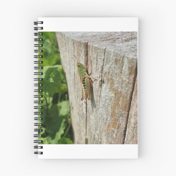 Item preview, Green Grasshopper on Wooden Log designed and sold by Brimwood.