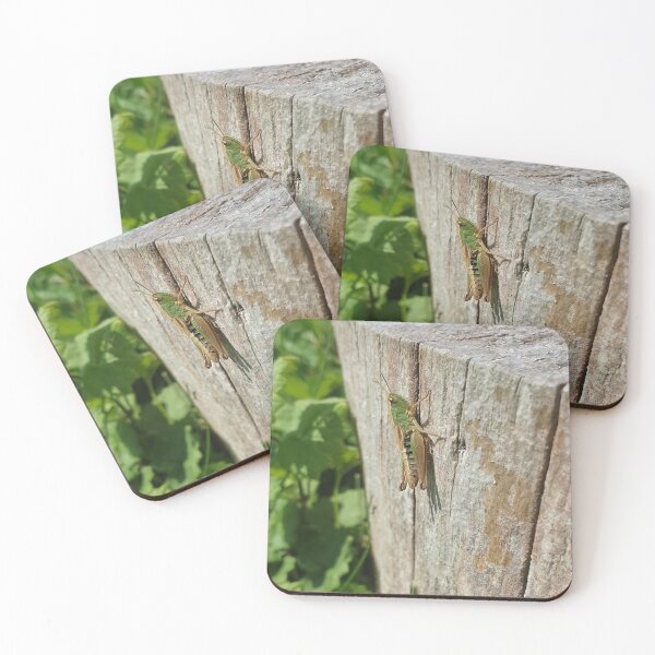 Item preview, Green Grasshopper on Wooden Log designed and sold by Brimwood.